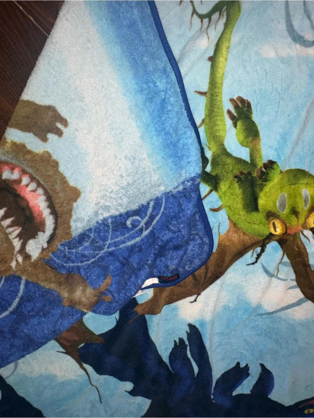 Vintage 2010 How to Train Your Dragon fleece blanket